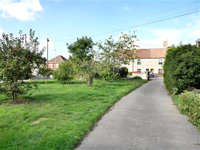 Picture 23